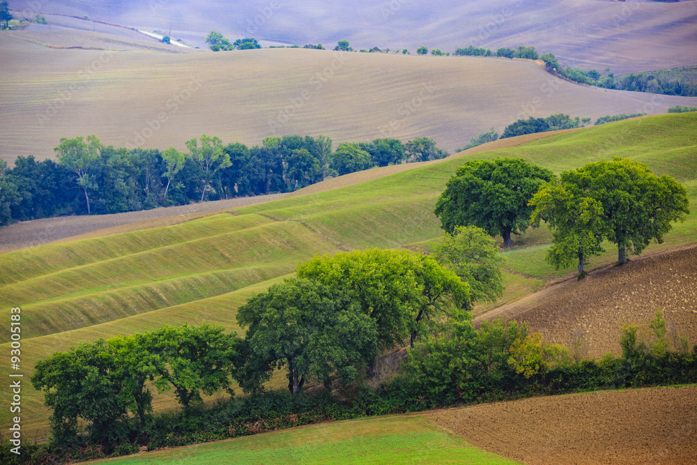 San Quirico d'Orcia, Tuscany, Italy San Quirico d'Orcia, Tuscany, Italy