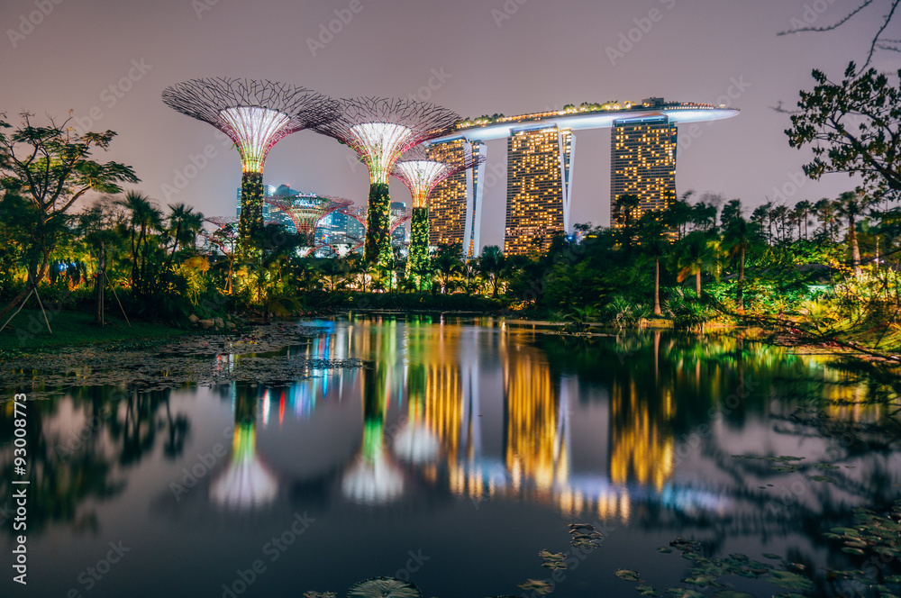 Naklejka premium Supertree Grove w ogrodzie nad zatoką w Singapurze i widok na Marina Bay Sands