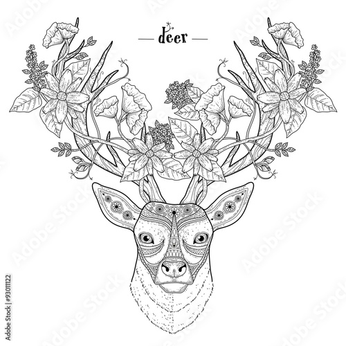 elegant deer head