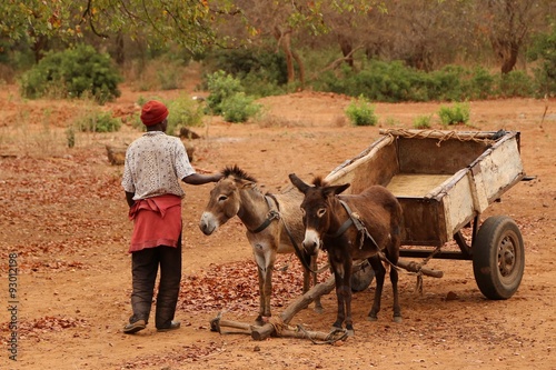 Homme africain caressant son âne attelé à une charette. photo