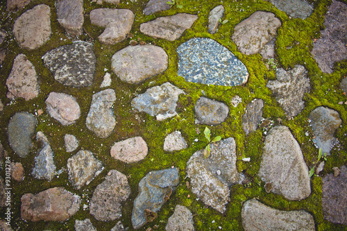 moss-grown paving stone
