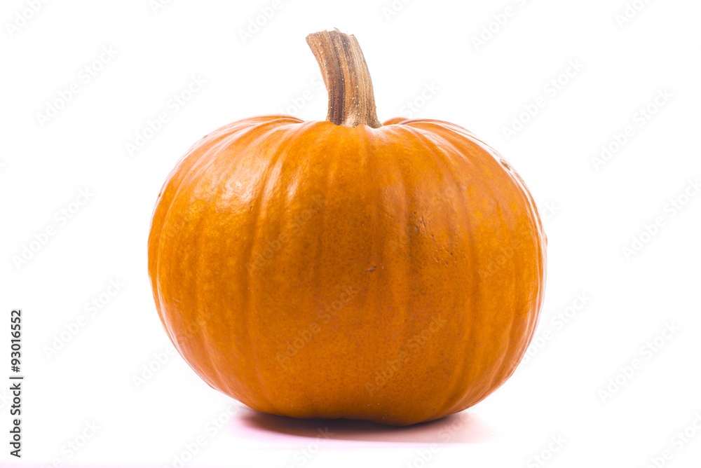 Pumpkin on white bacground