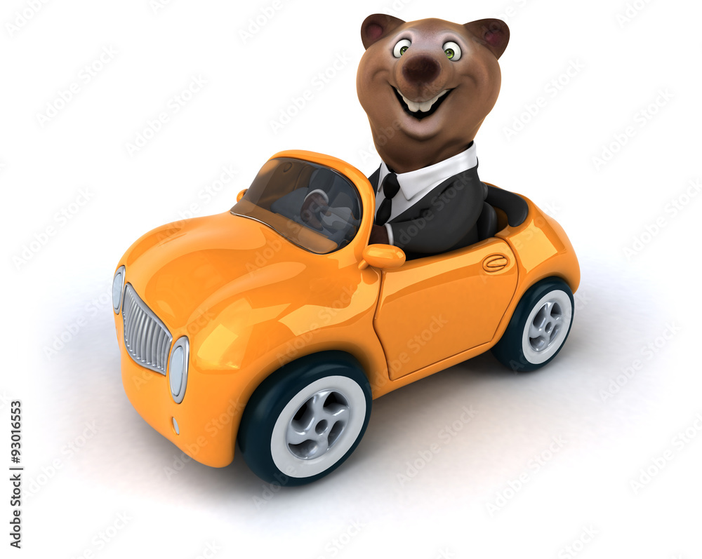 Fun bear Fun bear