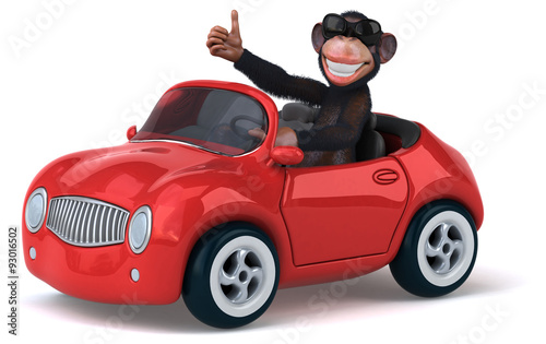 Photography Fun monkey