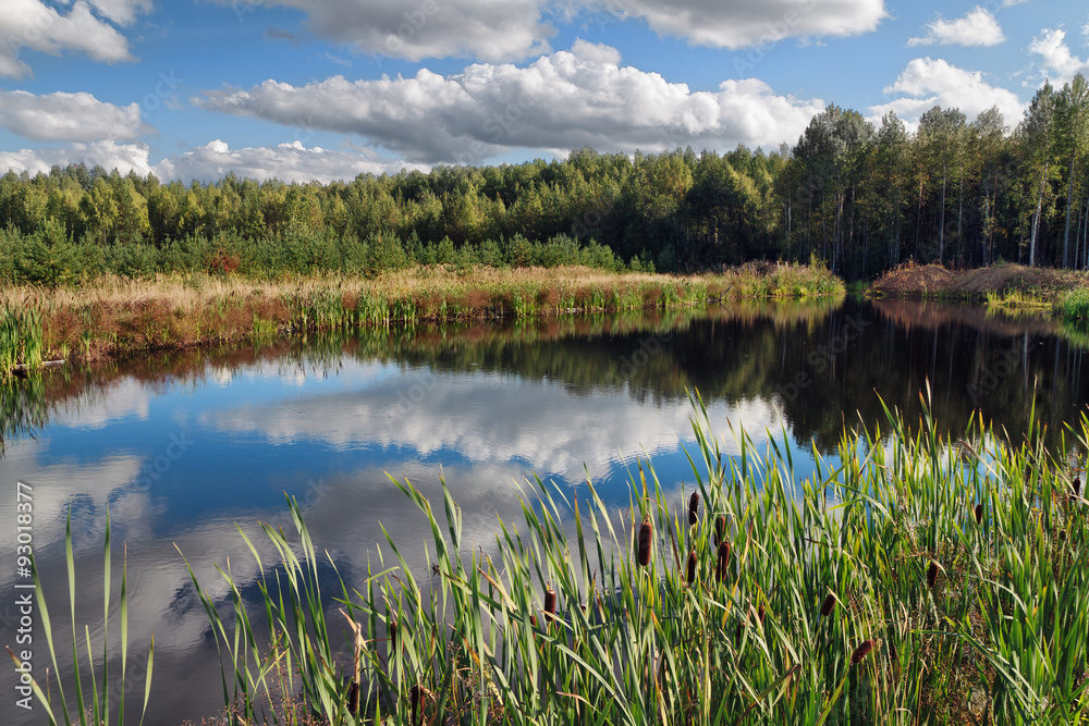 Pond Pond