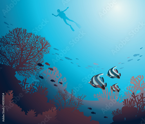 Underwater - coral reef and diver.
