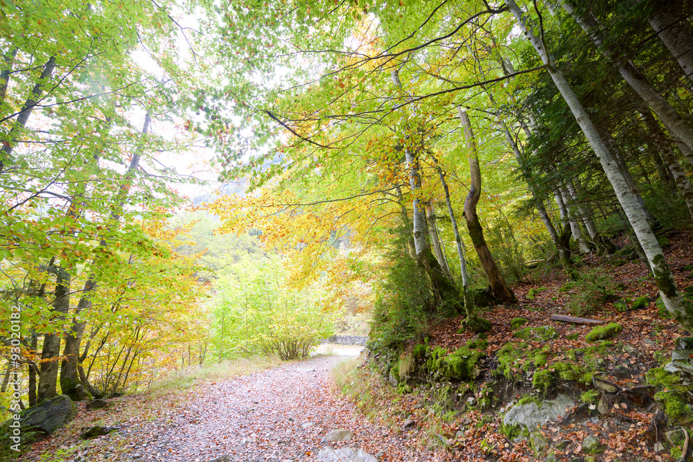 Fototapeta premium Ordesa