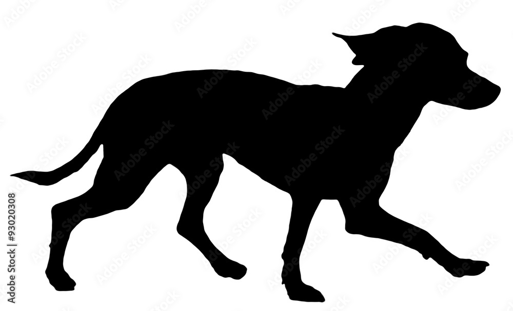 Toy Terrier silhouette