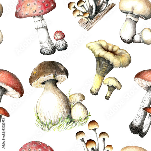 Hand drawn pencil painting seamless pattern mushrooms.