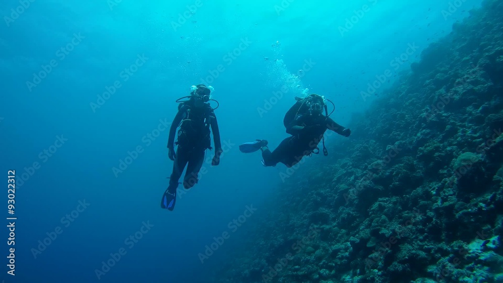 Dive Divers man and a woman floating in the current, near the coral reef
Dive Divers man and a woman floating in the current, near the coral reef