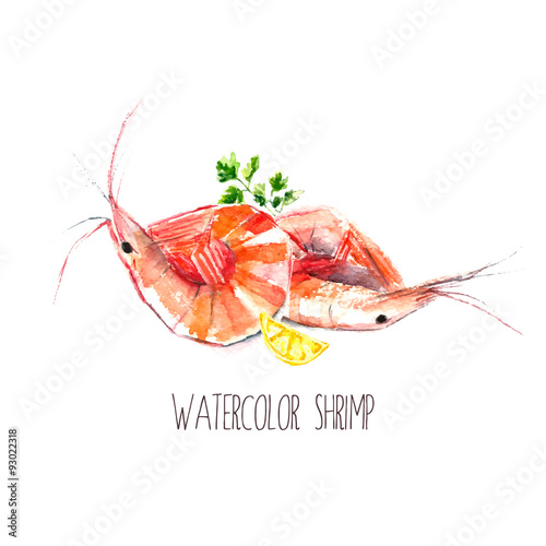 Watercolor shrimps.