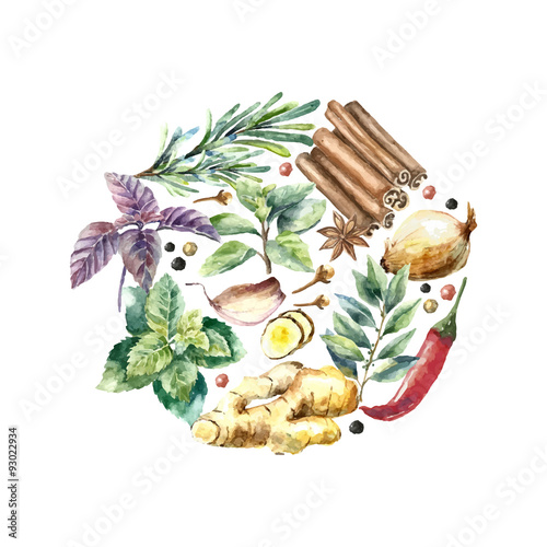 Watercolor collection of fresh herbs and spices isolated.