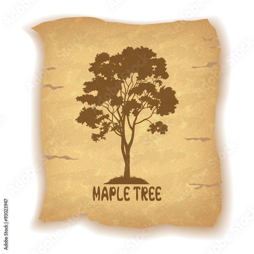 Maple Tree on Old Paper