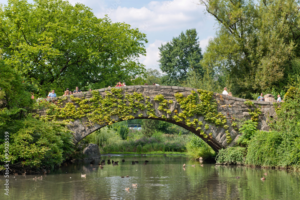 Picturesque stone bridge, Central Park, NYC