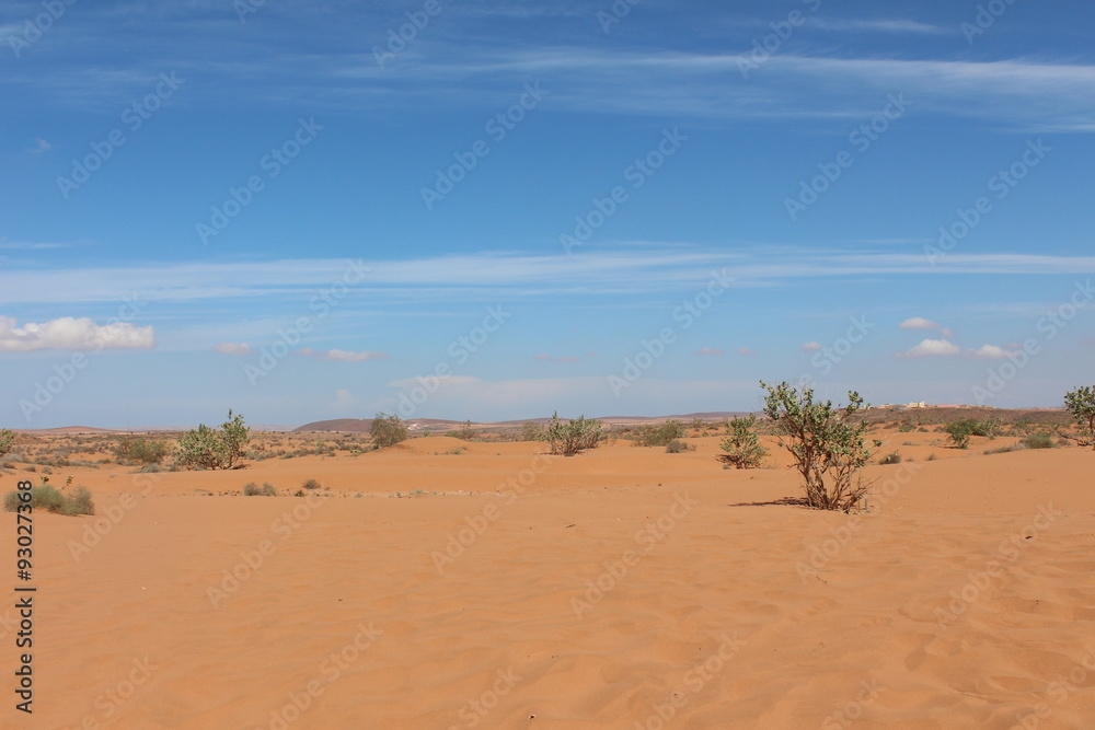 Desert in Morocco.
