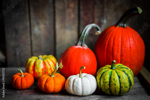 Colorful pumpkins on rustic wooden background