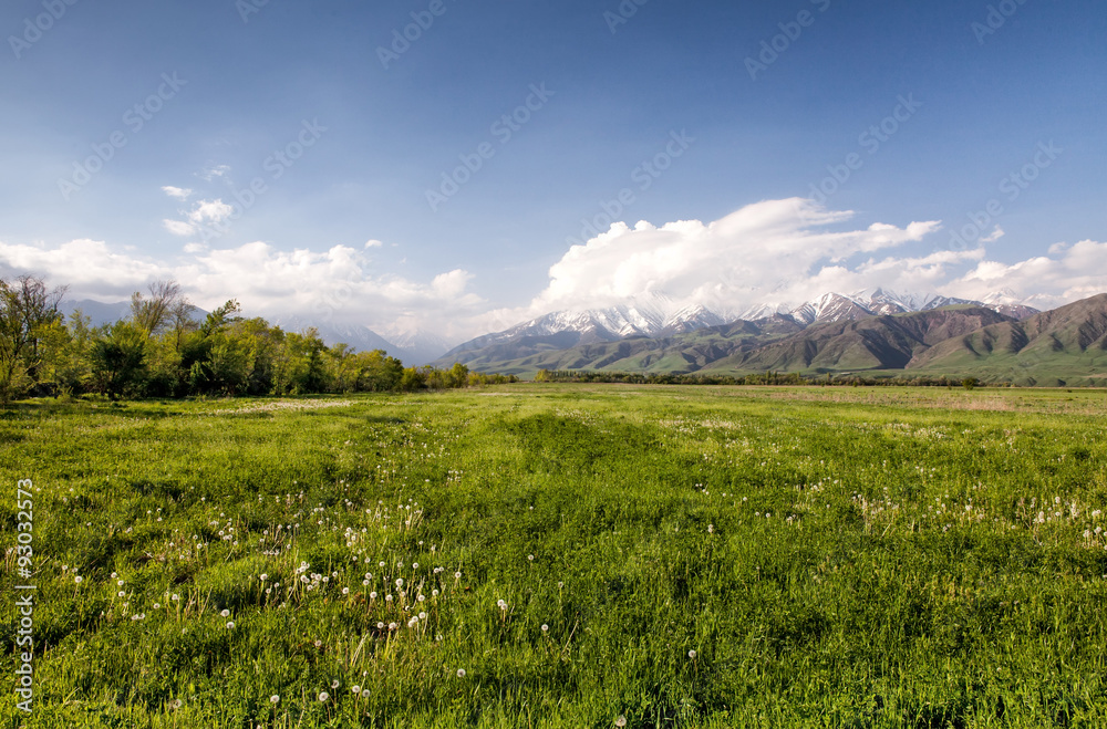 Fototapeta premium Asia landscape. Kyrgyzstan, Baitik