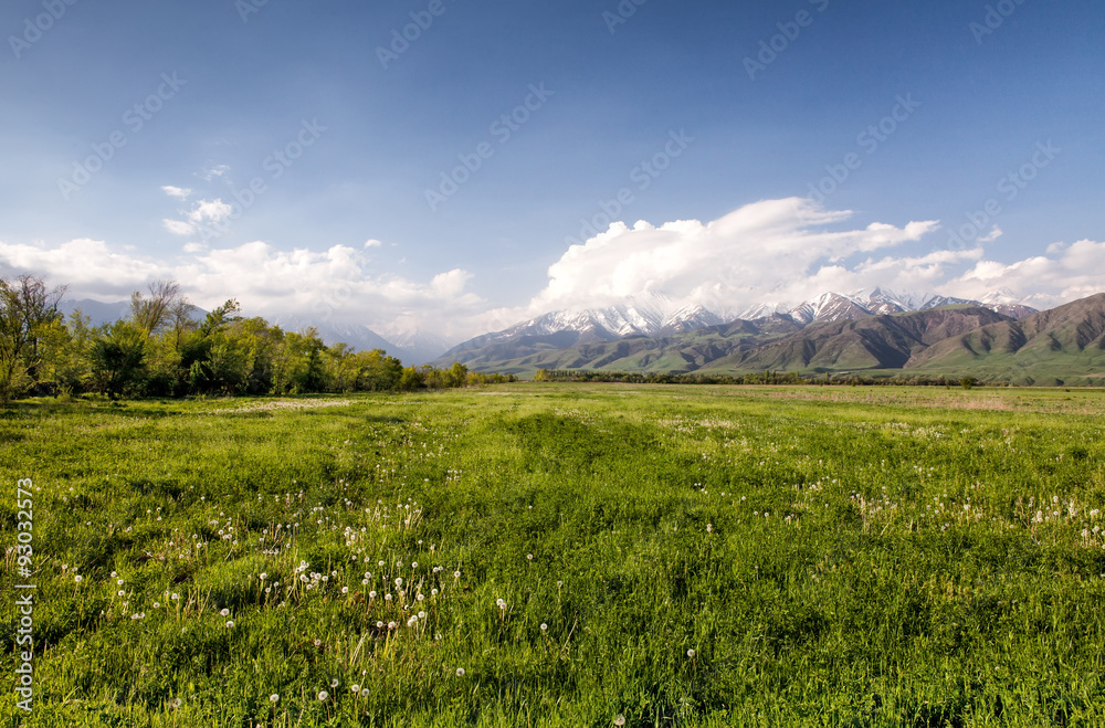 Asia landscape. Kyrgyzstan, Baitik