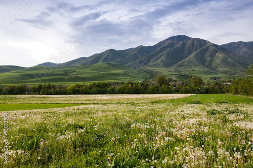 Asia landscape. Kyrgyzstan, Baitik © artlosk