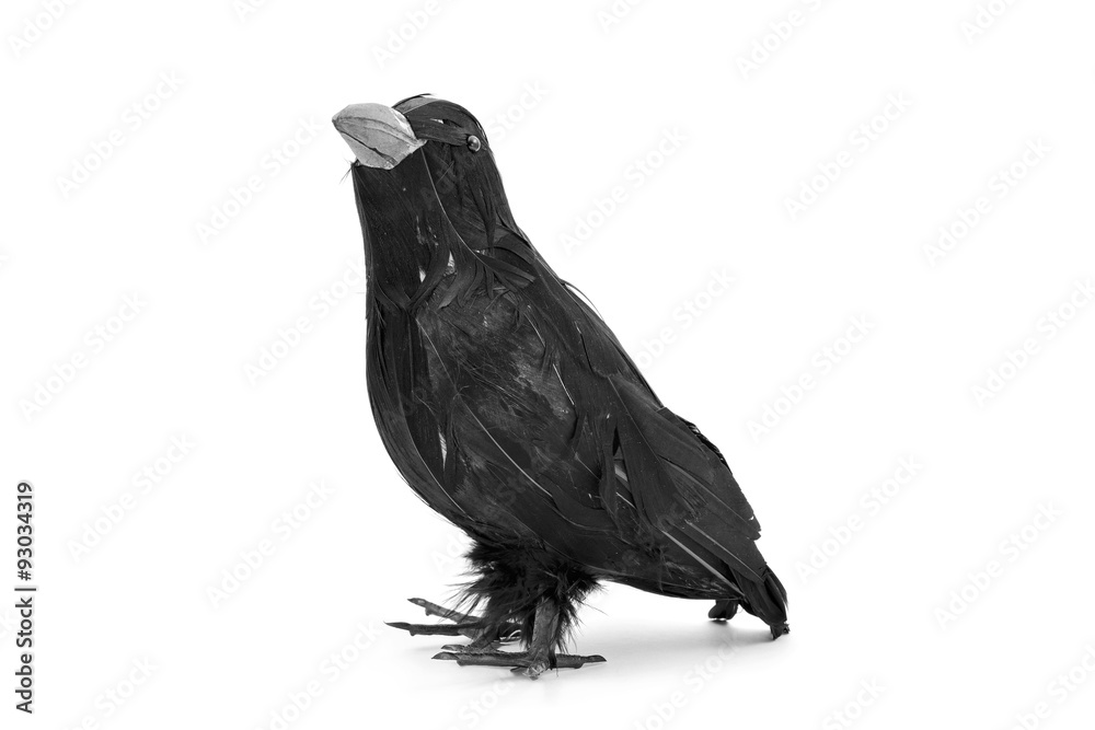 Obraz premium fake black crow