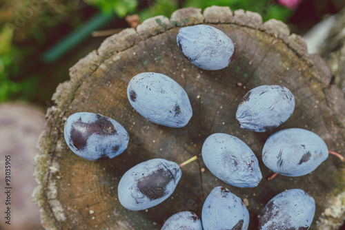 Blue plums on wood background 