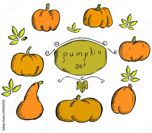 Hand drawn scetch pumpkin set