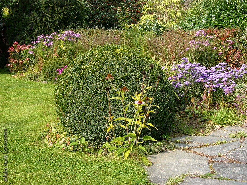 Schöner Garten mit Buchsbaum und grünem Rasen im Herbst bei