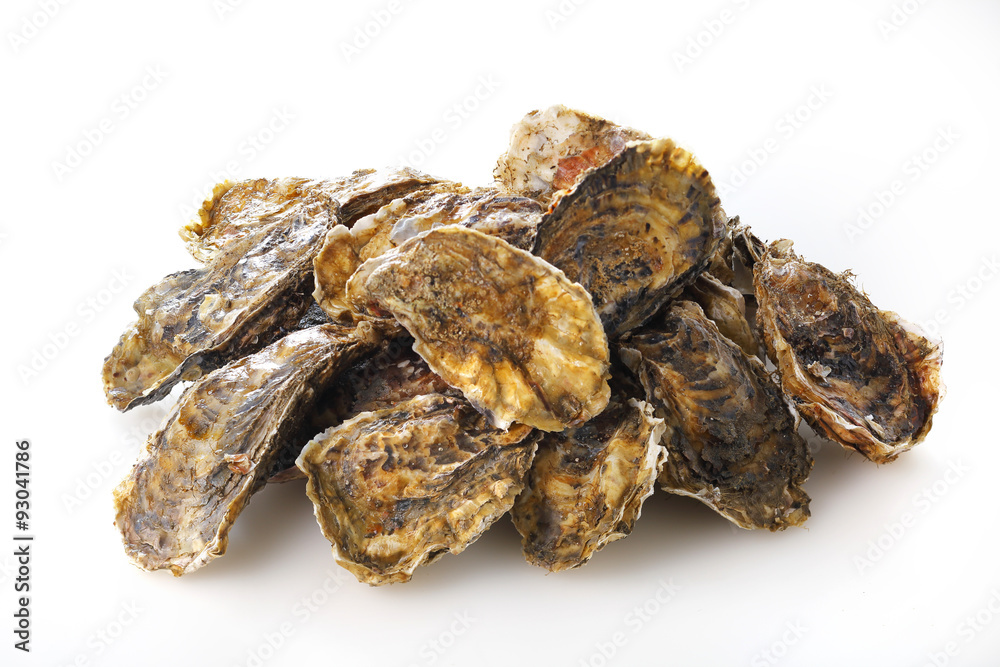 牡蠣 Oyster 牡蠣 Oyster
