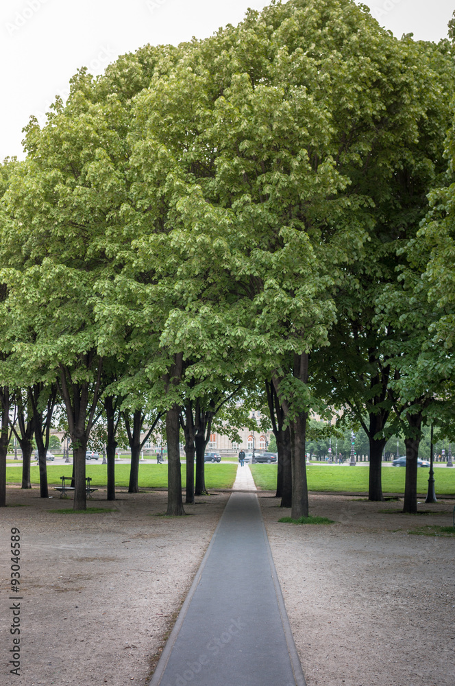 Black Walkway Through Grop of Trees