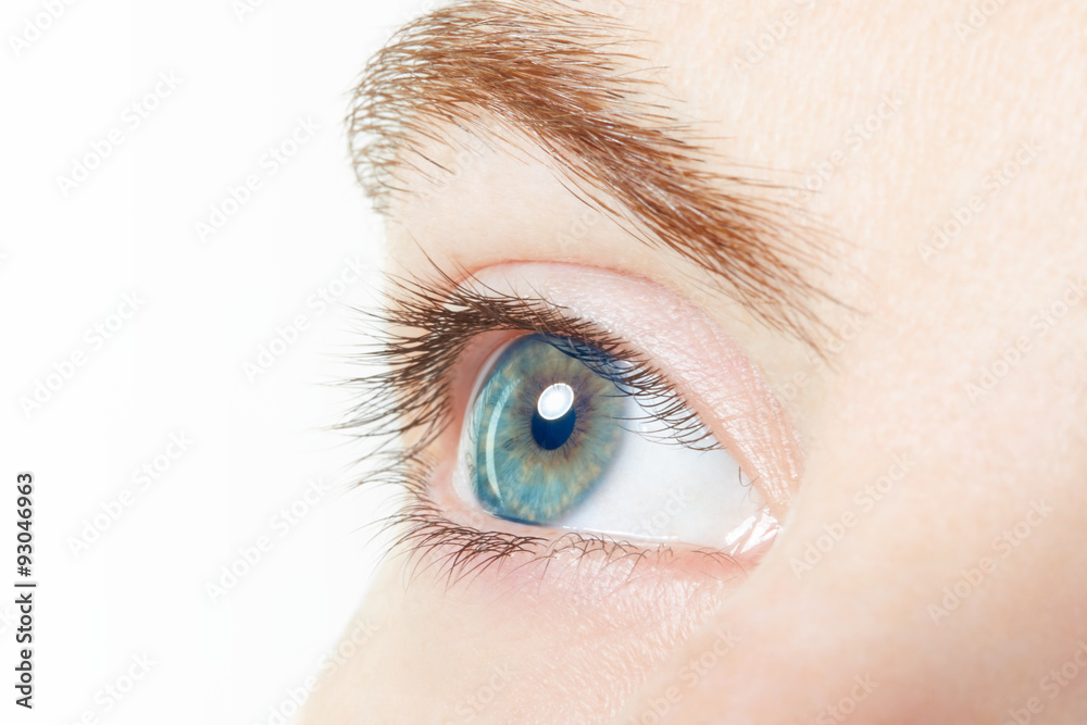 Fototapeta premium Human, blue healthy eye macro with white background