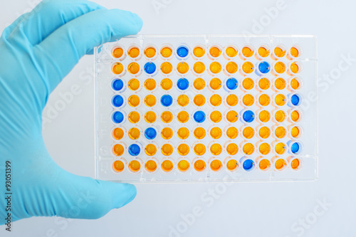 Enzyme-linked immunosorbent assay (ELISA), Immunology testing method in laboratory
 photo