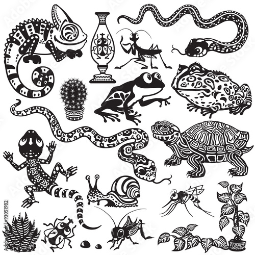 set wit reptiles, amphibians and insects. Cartoon animals of terrarium