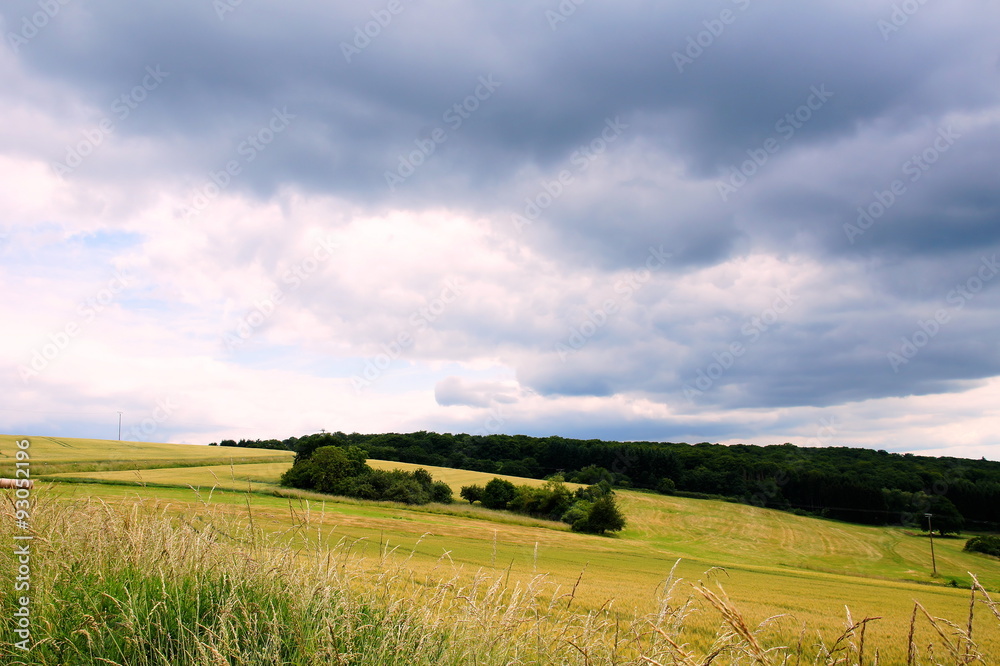 Fototapeta premium grüne Landschaft mit Regenwolken