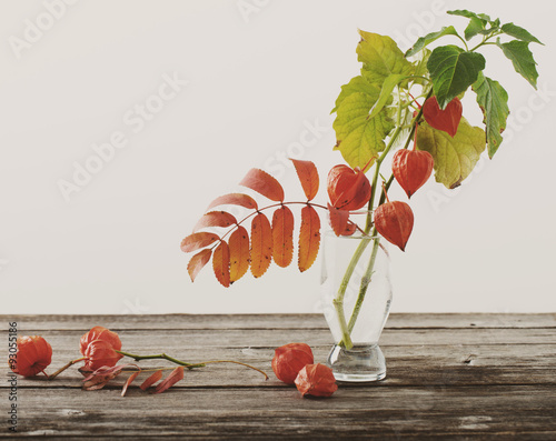 still life with red physalis photo