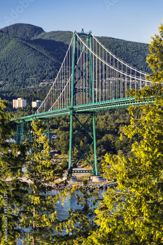 Side view of the Lions Gate Bridge, from Stanley Park.