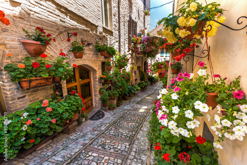 Fototapeta Naklejka Na Ścianę i Meble -  Floral street in central Italy, in the small Umbrian medieval to