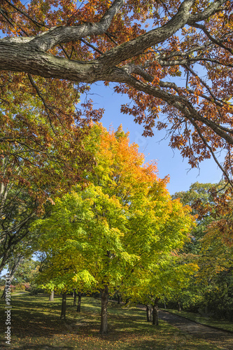 Fototapeta Naklejka Na Ścianę i Meble -  Fall in high Park in Toronto.
