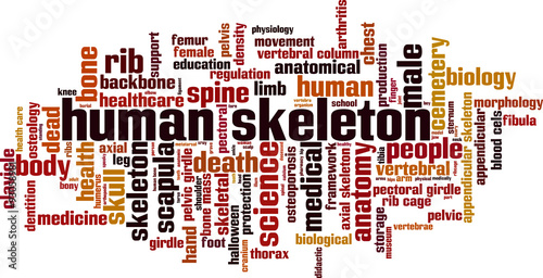 Human skeleton word cloud concept. Vector illustration