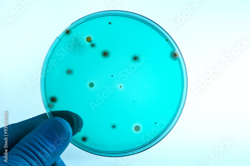 Konstfotografi hand of a technician holding green petri dish in laboratory /doctor with a petri