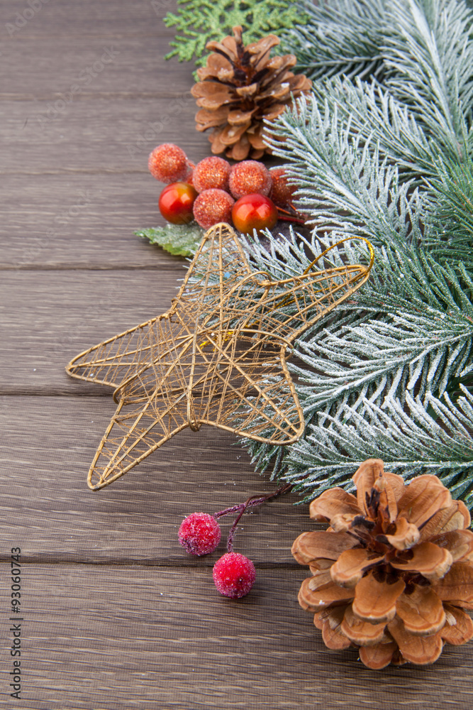 Christmas fir tree branch