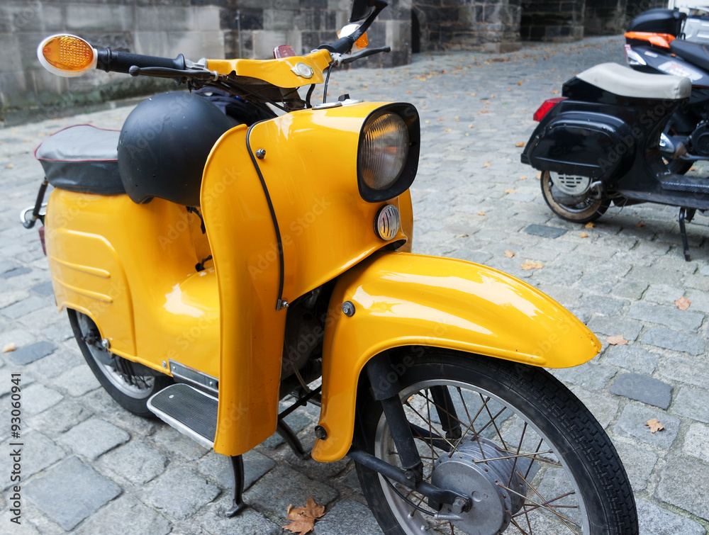 Obraz premium Schwalbe