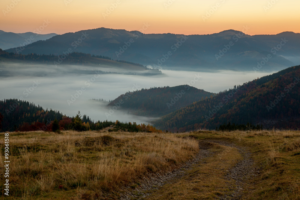 Morning mist in mountain woodland. Morning mist in mountain woodland.