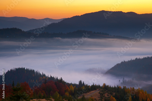 Morning mist in mountain woodland.