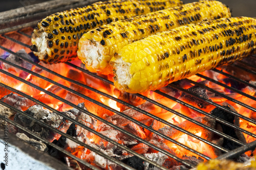 Sweet corn on charcoal bbq