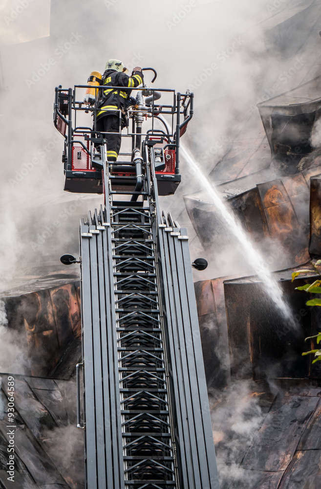 Fototapeta premium Fireman on ladder