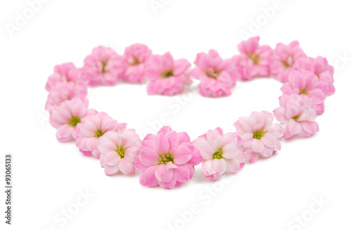 Fototapeta Naklejka Na Ścianę i Meble -  delicate pink flowers