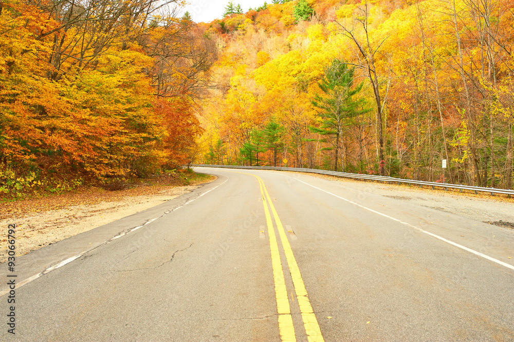 Fototapeta premium Autumn scene with road