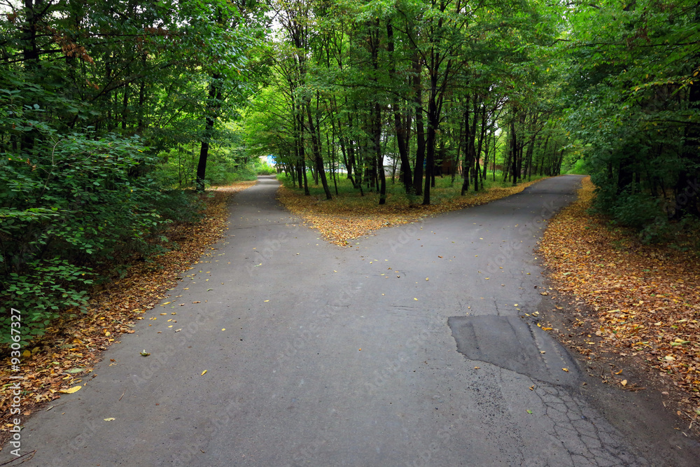 Fork asphalt roads StockFoto Adobe Stock
