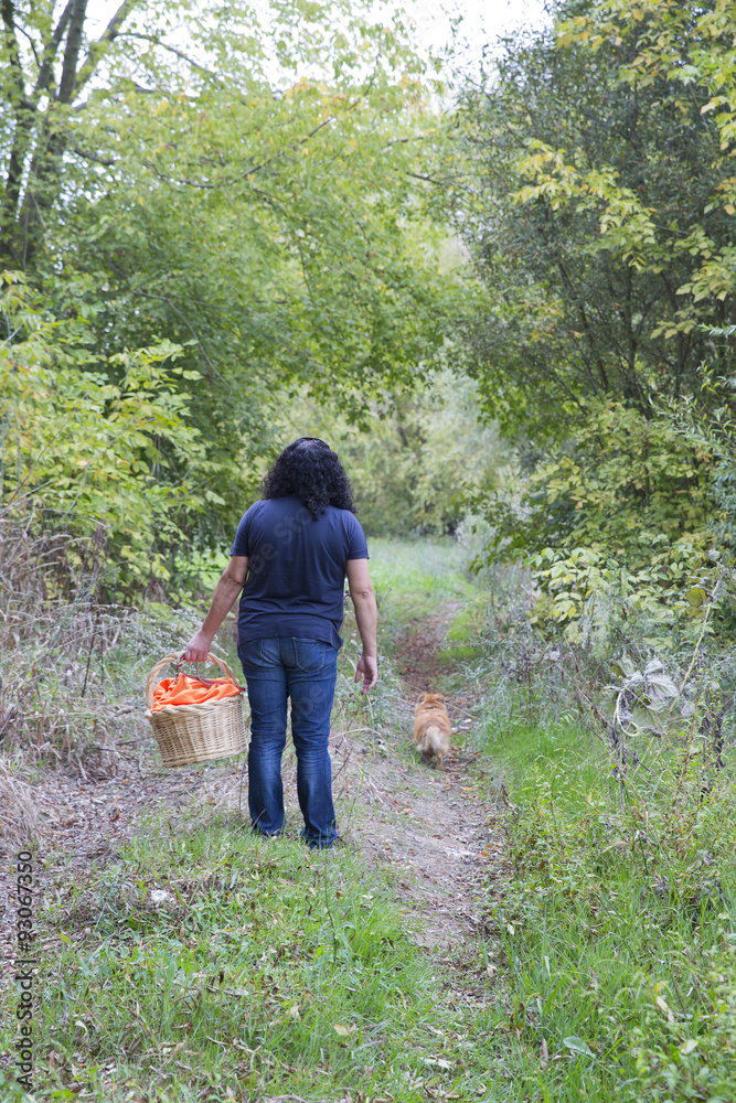 Picnic with my dog in the field