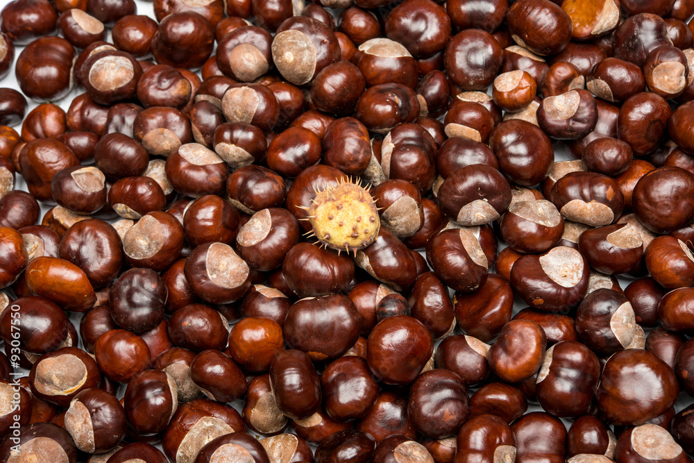 Close-up of chestnuts